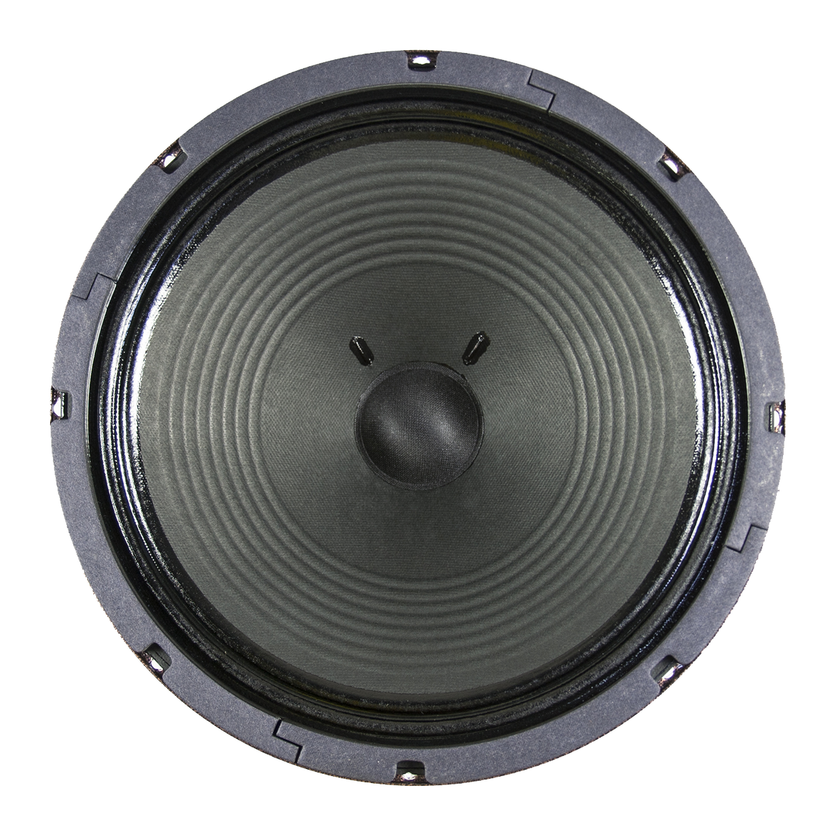 12" Retro 30 - 75 Watts