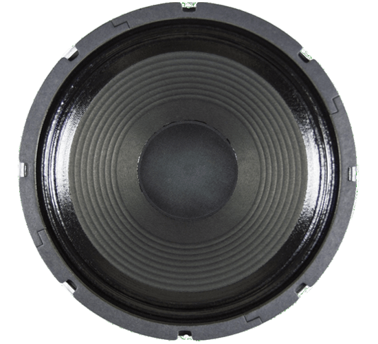 12" ET65 - 65 Watts