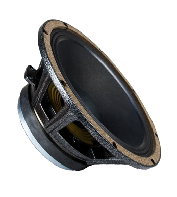 12" WGS12L - 200 watts