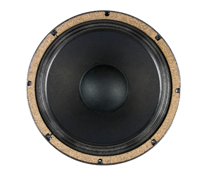 12" WGS12L - 200 watts