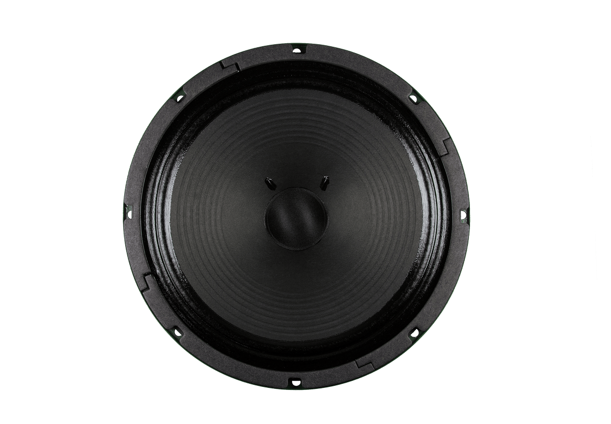 12" Green Beret - 25 watts
