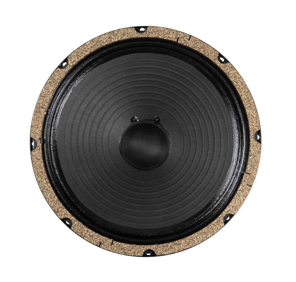 10" Retro 10 - 60 watts