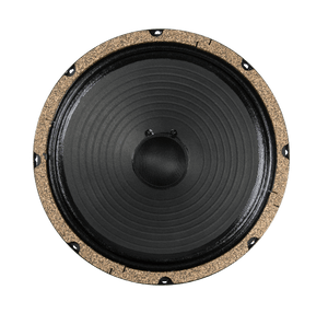 10" Retro 10 - 60 watts
